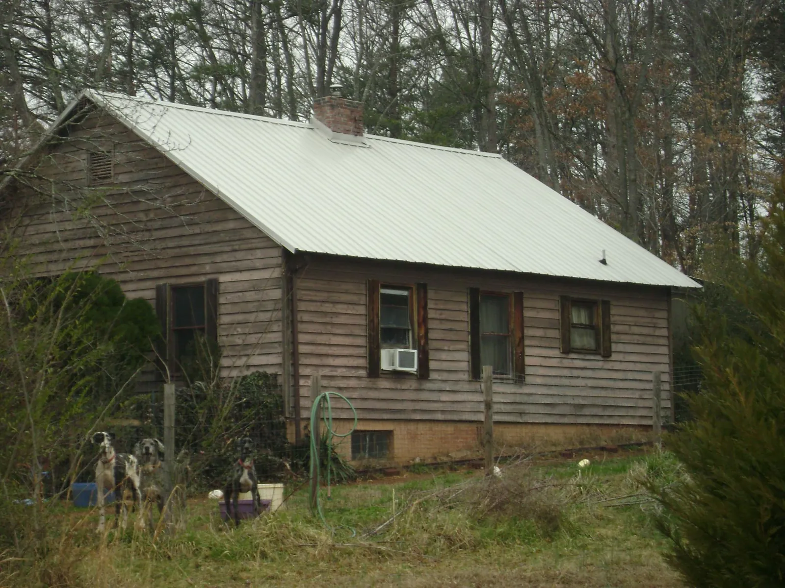White metal roof on an old wood sided farmhouse, from a Asphalt Shingle Roof Repair job in Scurry